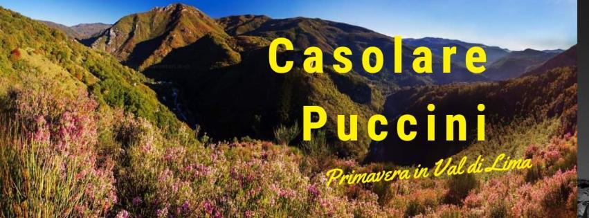 Casolare Puccini Apartamento Bagni di Lucca Exterior foto