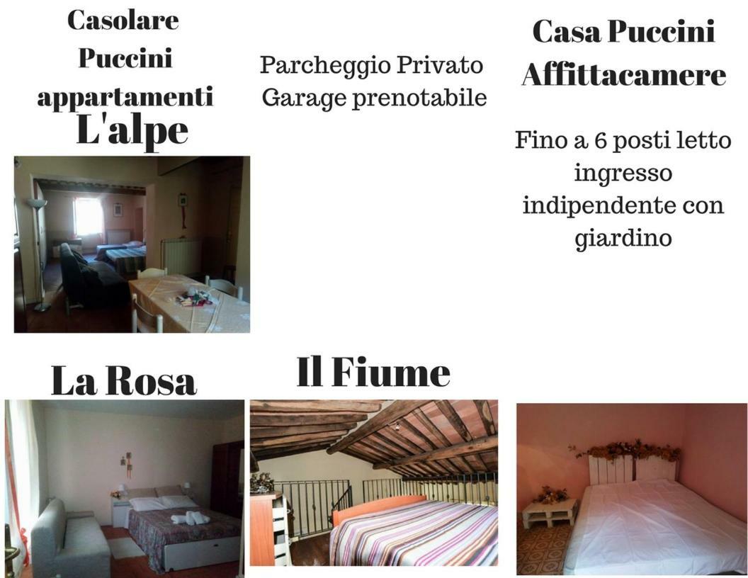 Casolare Puccini Apartamento Bagni di Lucca Exterior foto